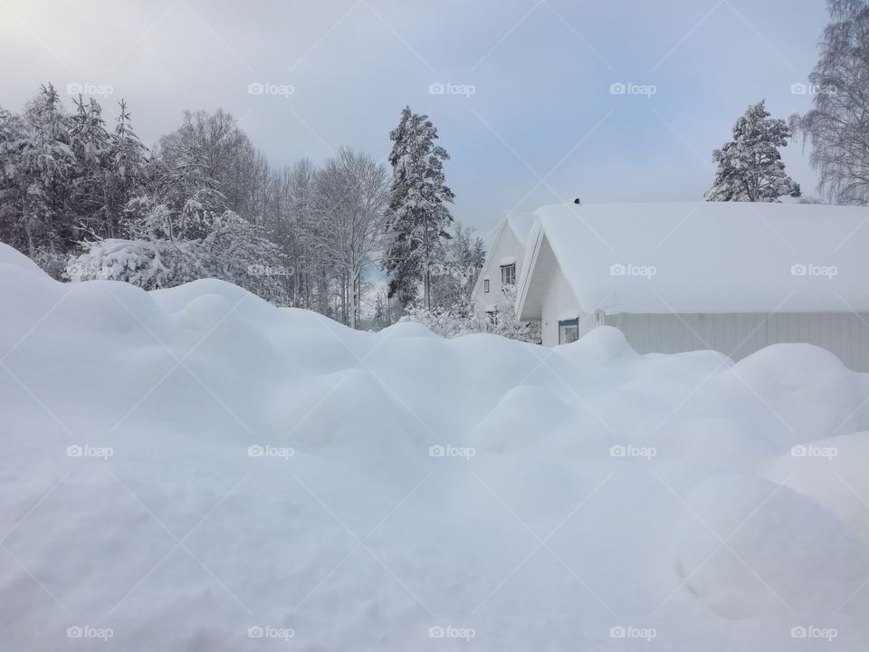 Snow, Winter, Cold, Ice, Weather