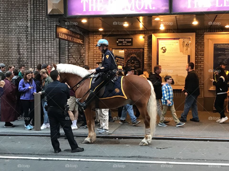 Horse cop