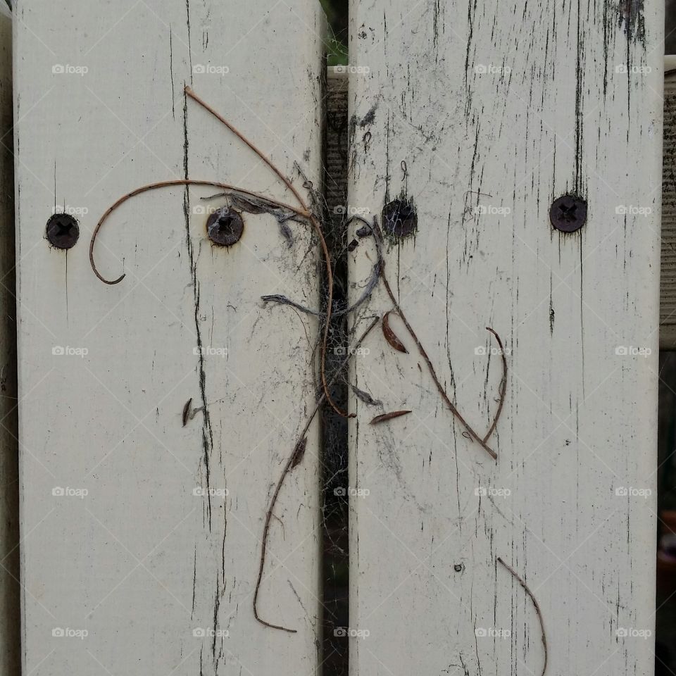 Fence Art Cat