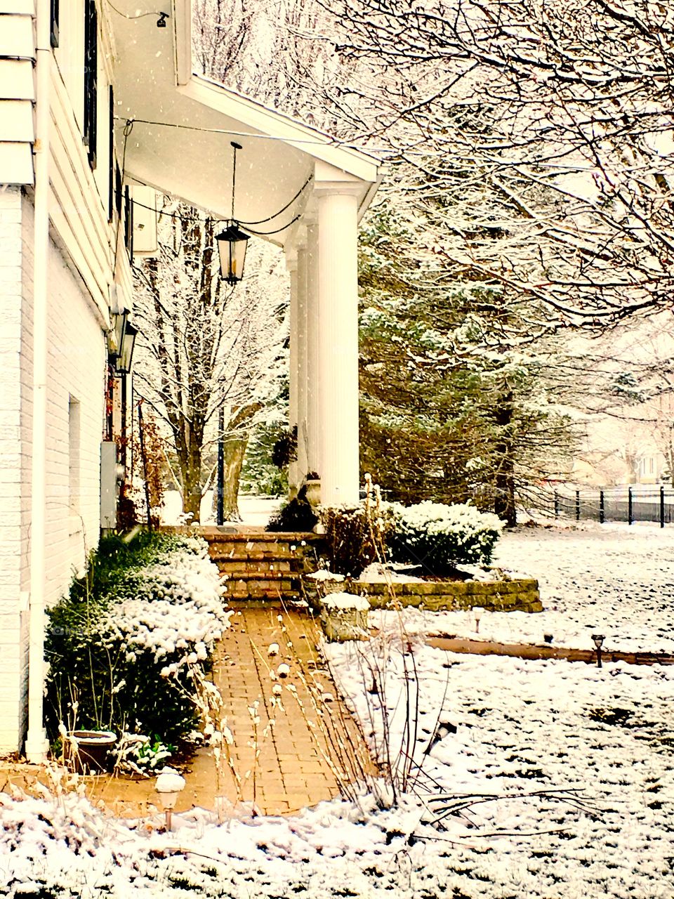 Petite Tresor Rescue and Sanctuary 