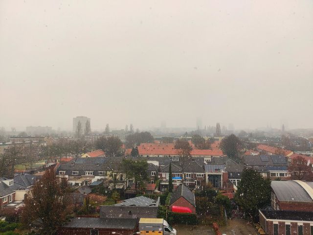 Rainy season vibes are always good 😊🌦️🌦️