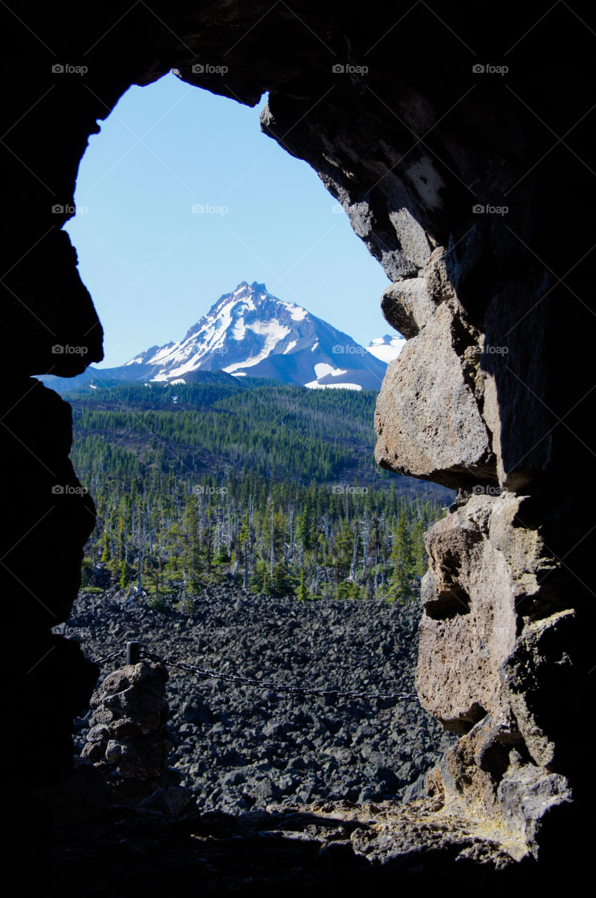 Looking out the window