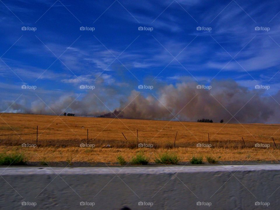 roadside grass fire