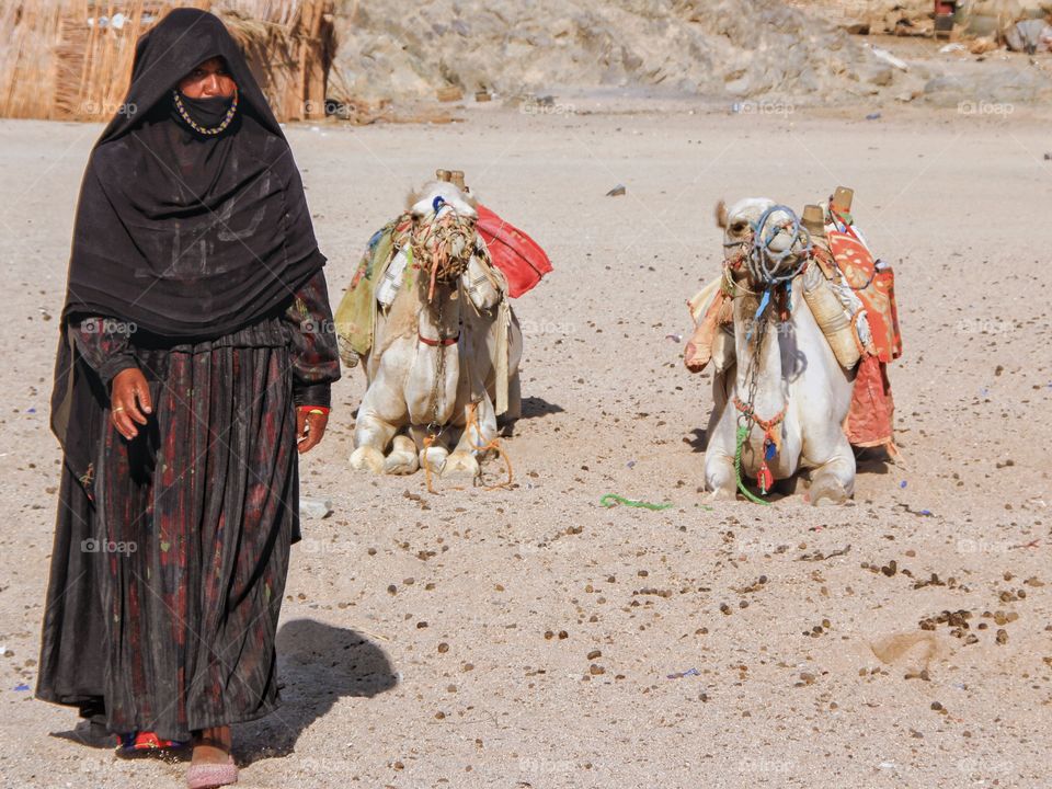 bedouin woman standing by the camel