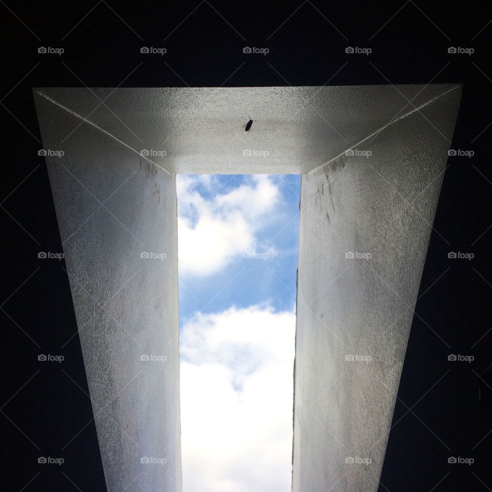 Bee in a skylight 