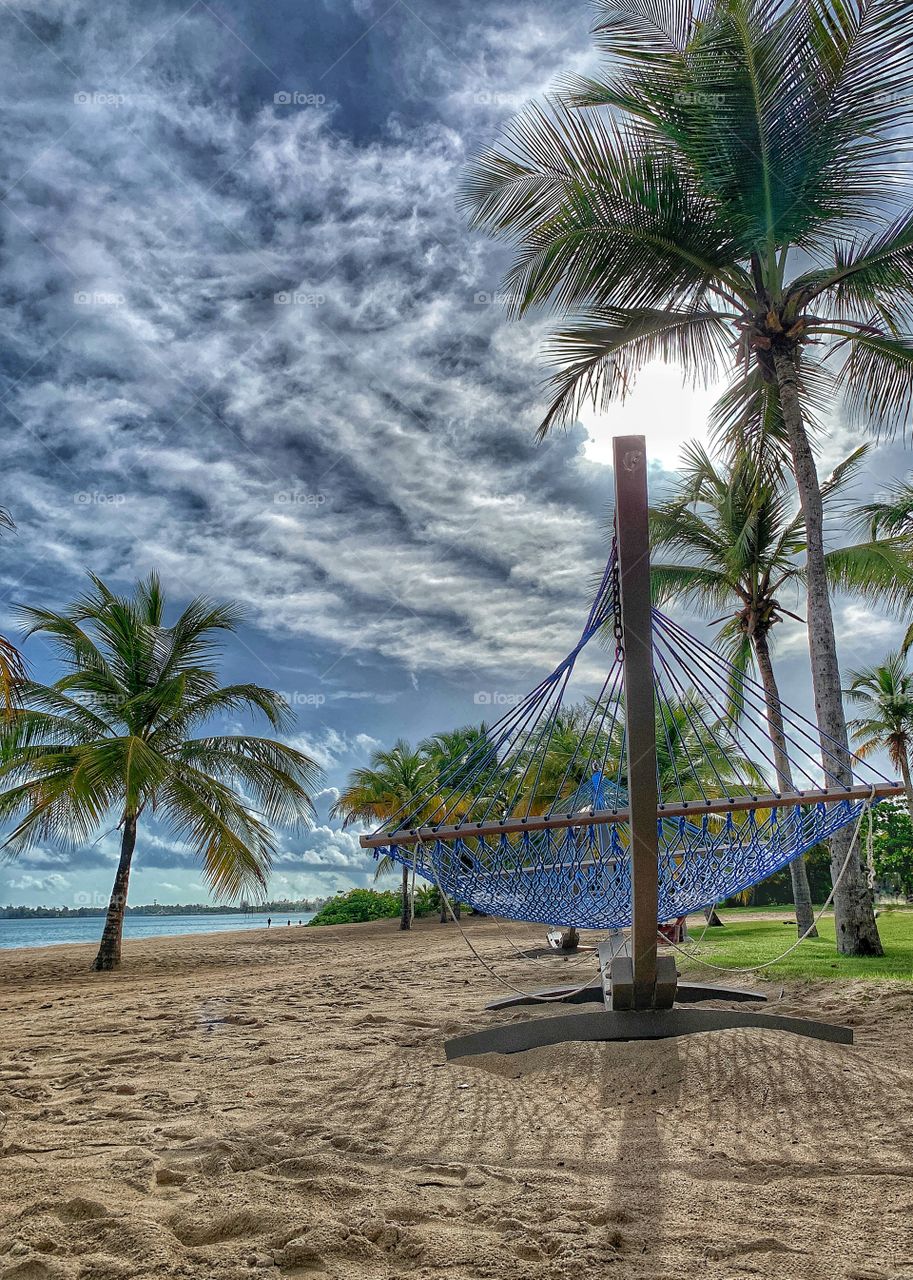 Palm trees in isla verde beaches with blue hammock. In a lovely sunny day. Summer.