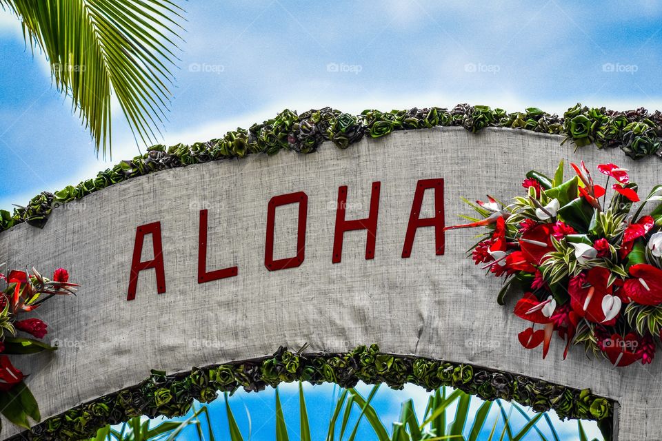 Aloha is the Hawaiian word for love, affection, peace, compassion and mercy, that is commonly used as a simple greeting. 