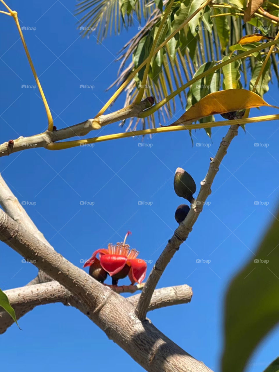 Natural surroundings 