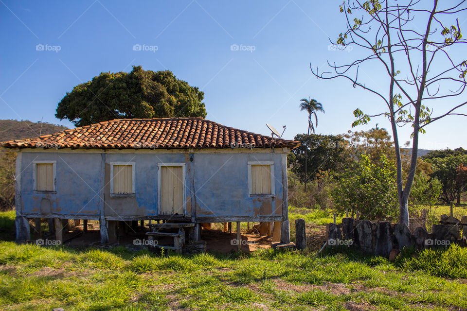 Abandoned building in the forest