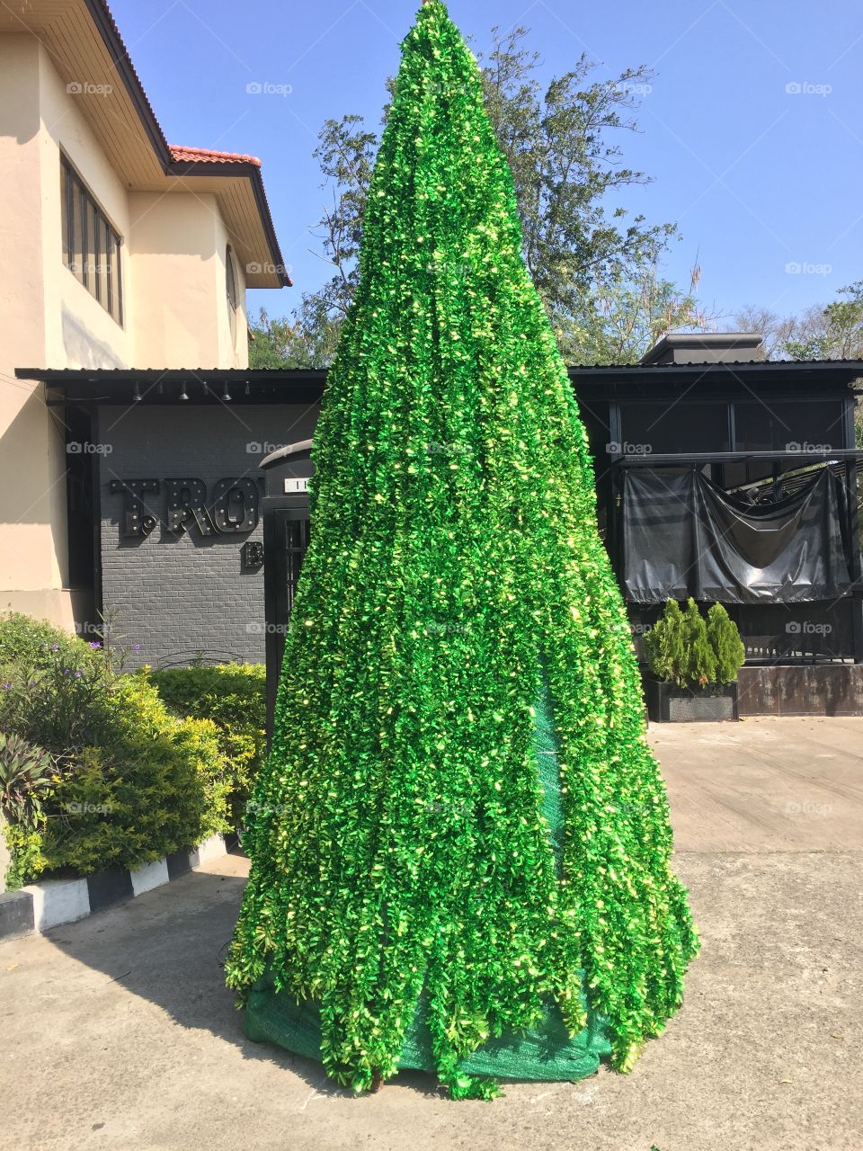 Christmas tree 