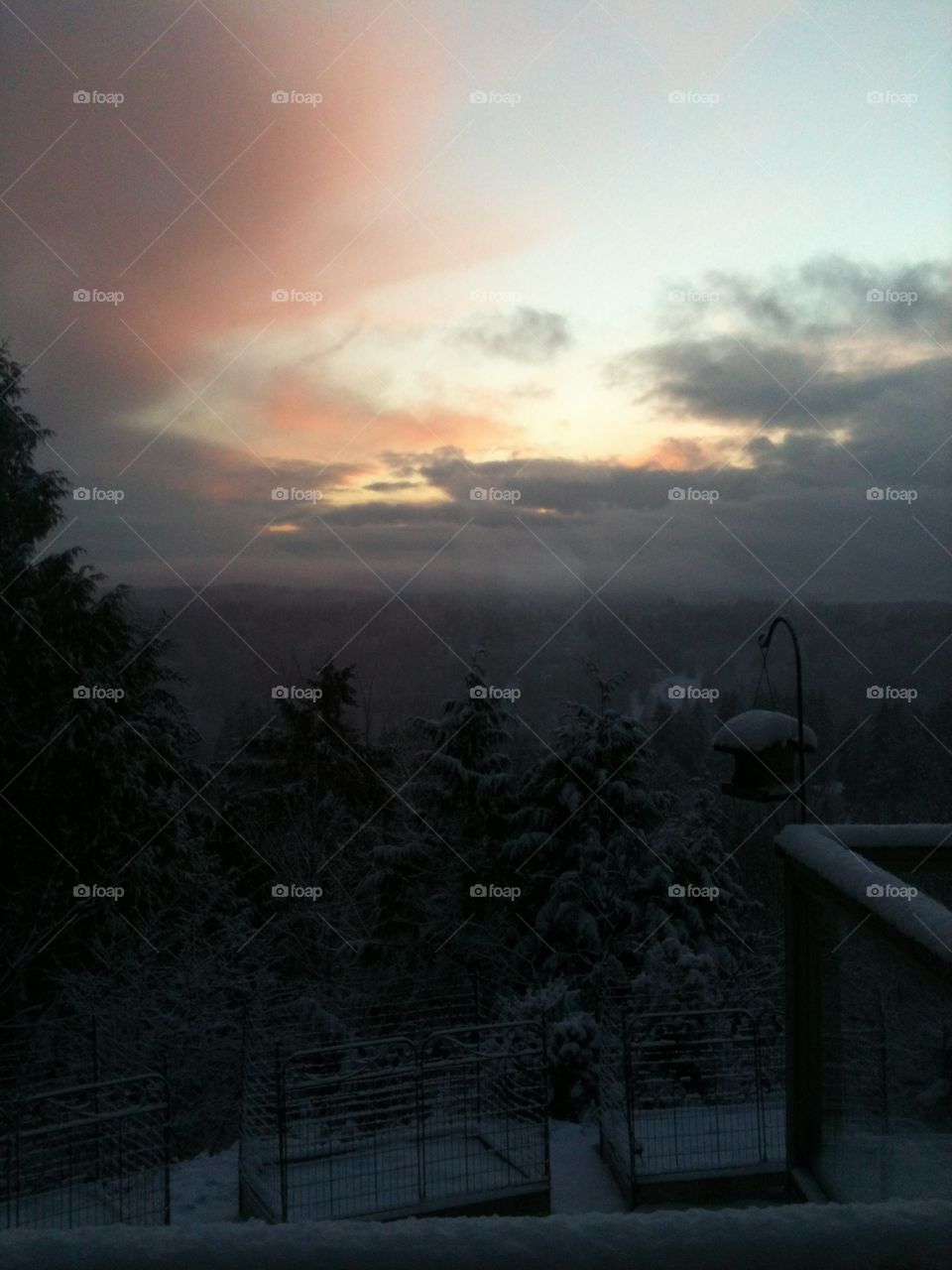 Sunset winter a frosty cold night. 