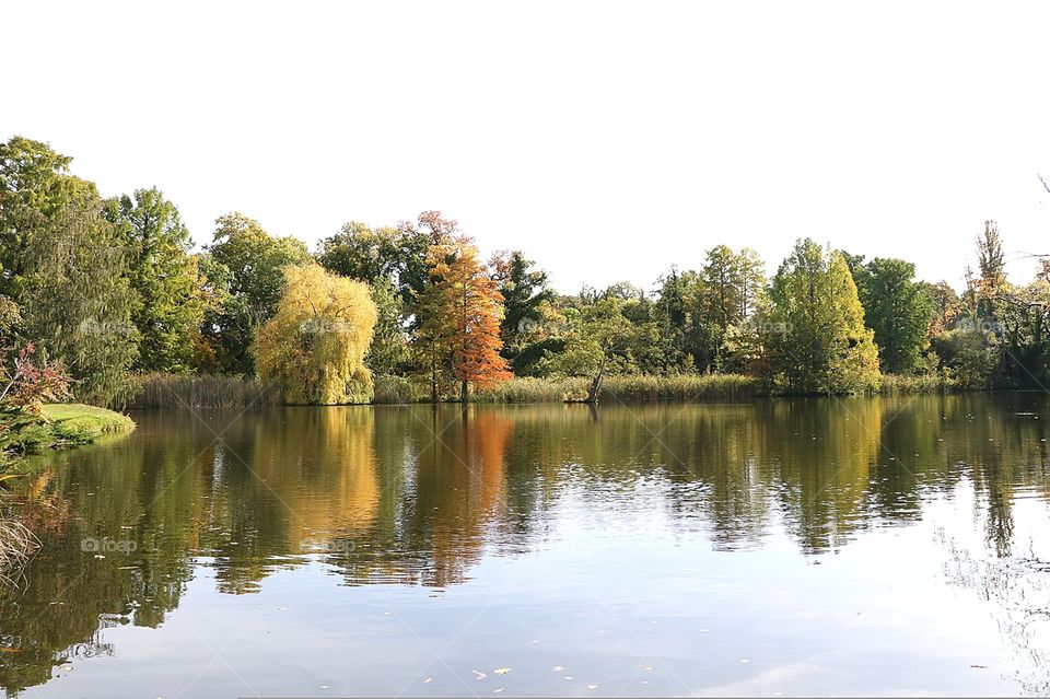 lake, view, trees near water, fall,