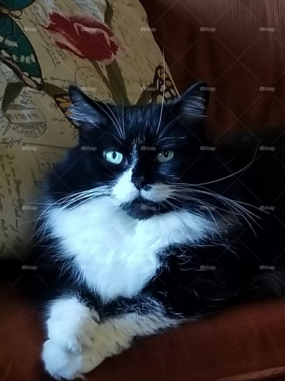Old Wise One