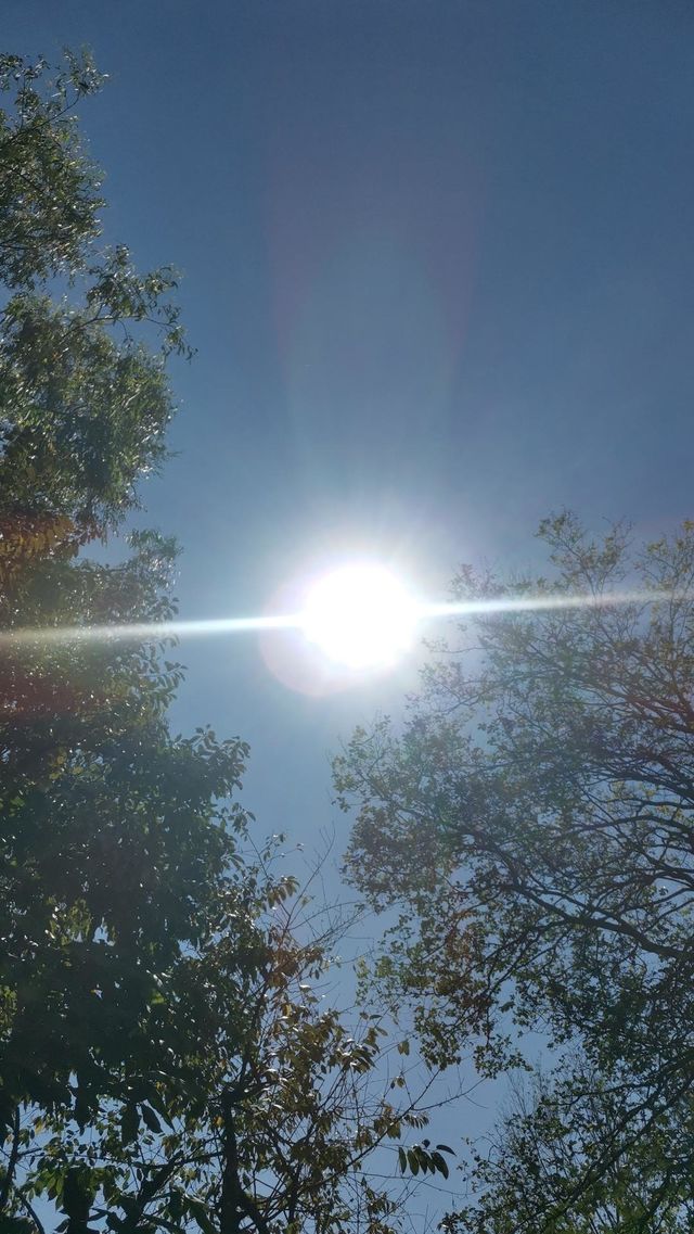 Sun shine