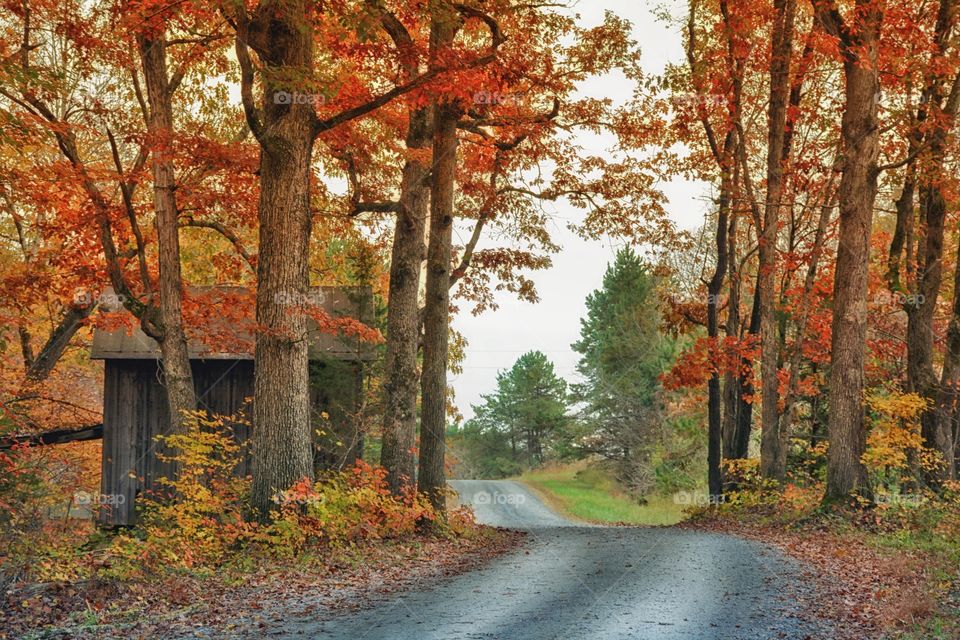 Colors Beside the Road 