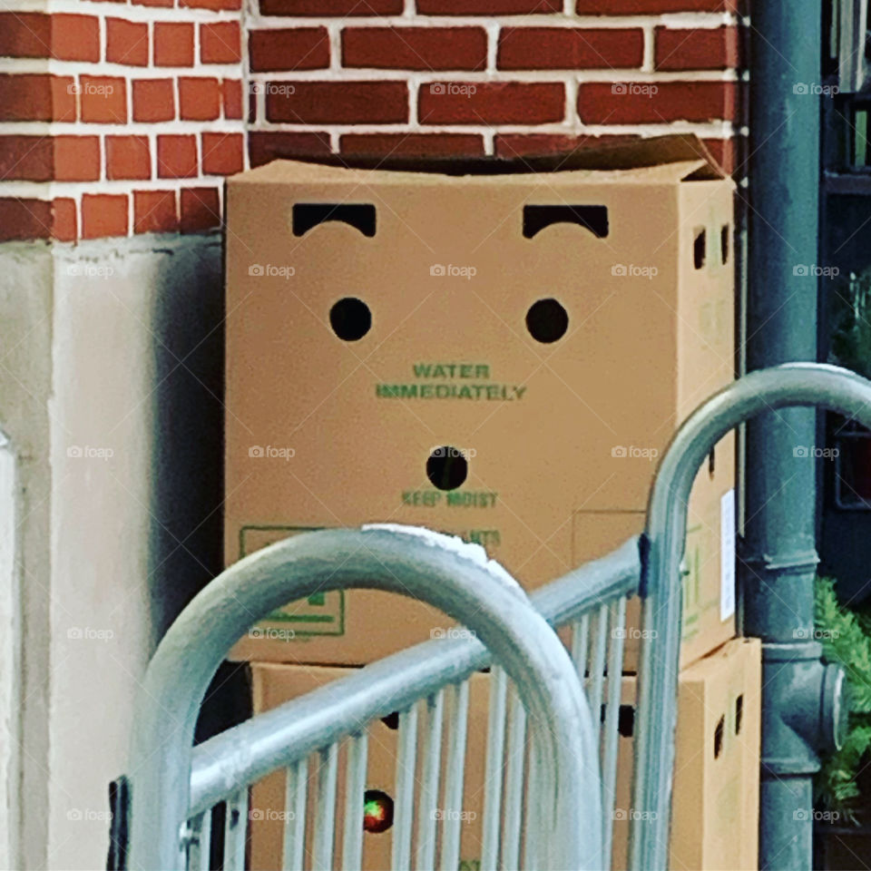 I was standing in line to go into my local Trader Joe’s. A box outside was apparently surprised to see me! (It also needs water).