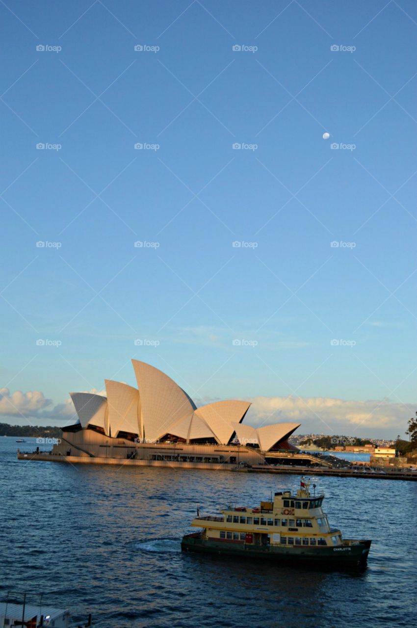 Sydney opera house