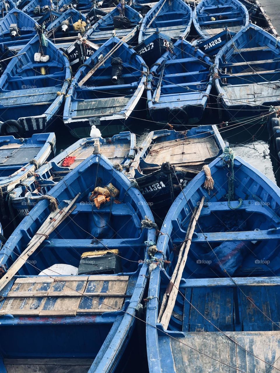 Beautiful blue boats at the harbour in essaouira city in morocco.