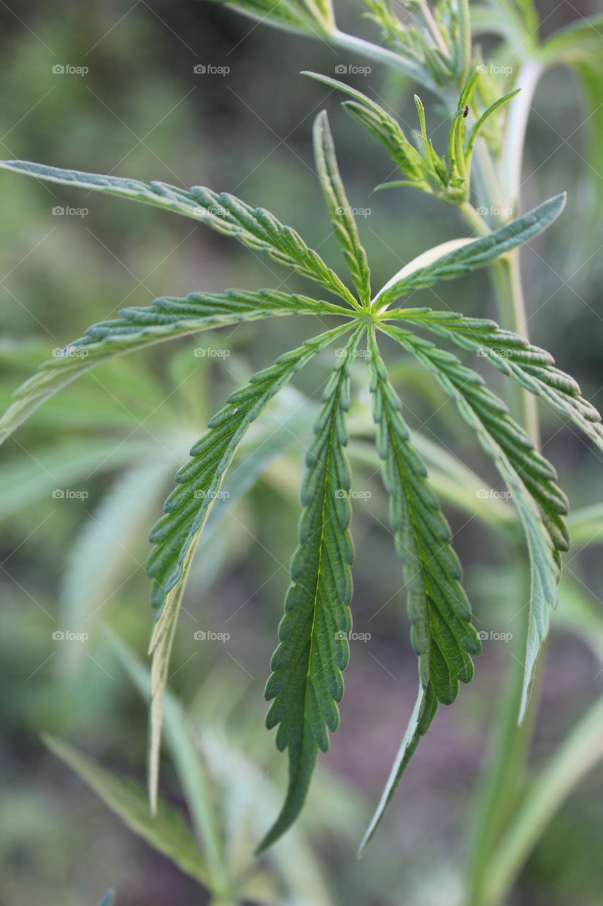 very most useful....