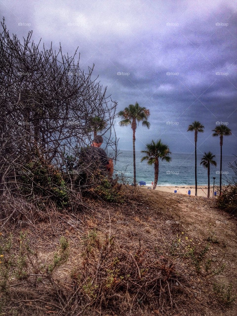 Man, beach, palms, sea, seascape, Laguna beach, California , USA clouds, plants, nature