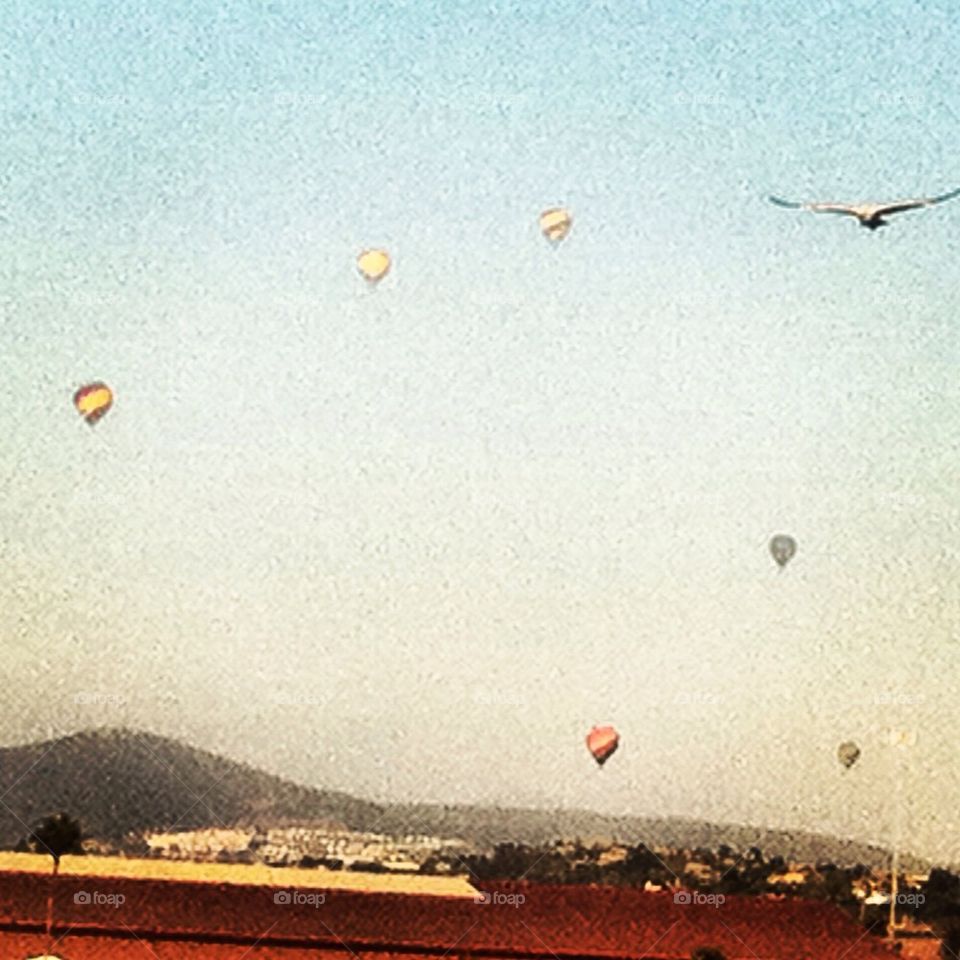 Hot Air Baloons