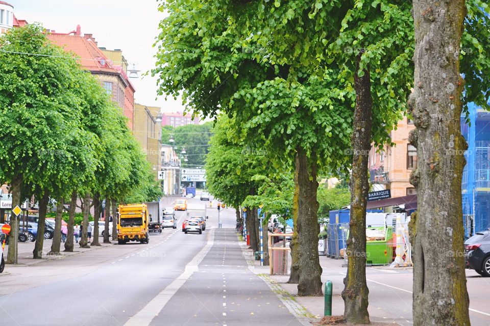 Road, Street, No Person, Tree, Travel