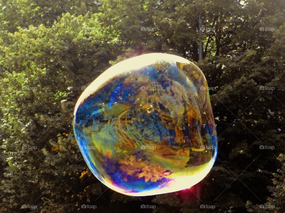 soap bubble dancing in the wind