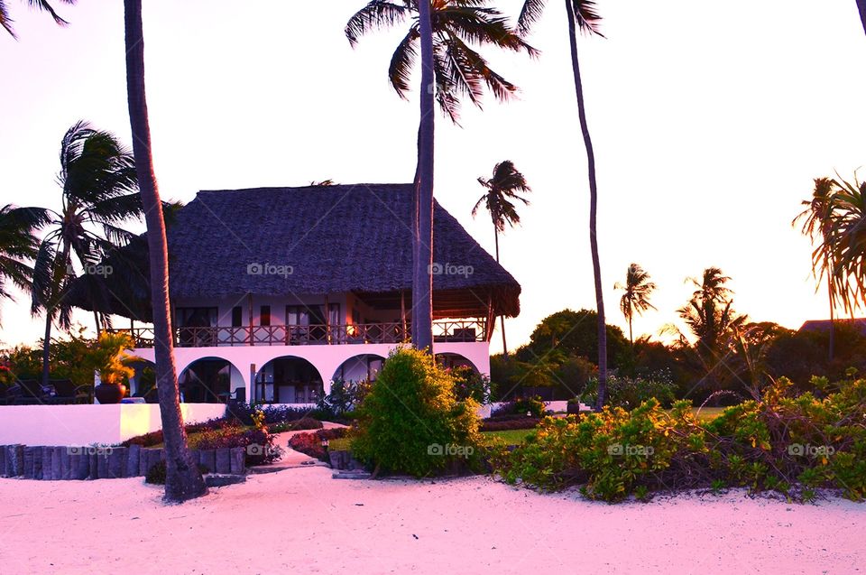 Tree, Palm, Resort, No Person, House