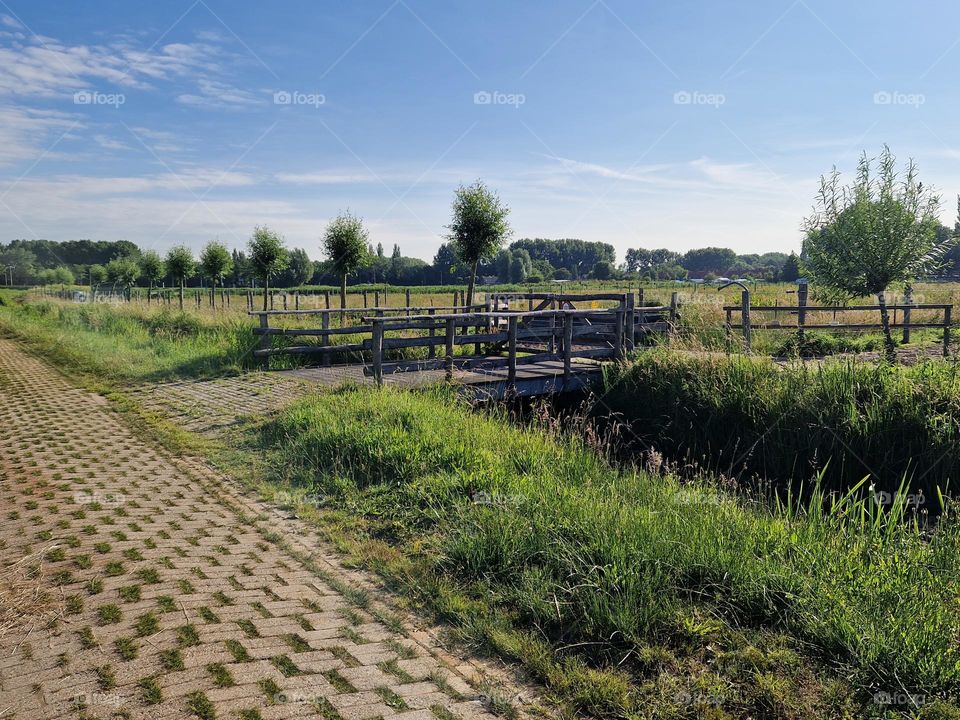 Pastures in the Netherlands