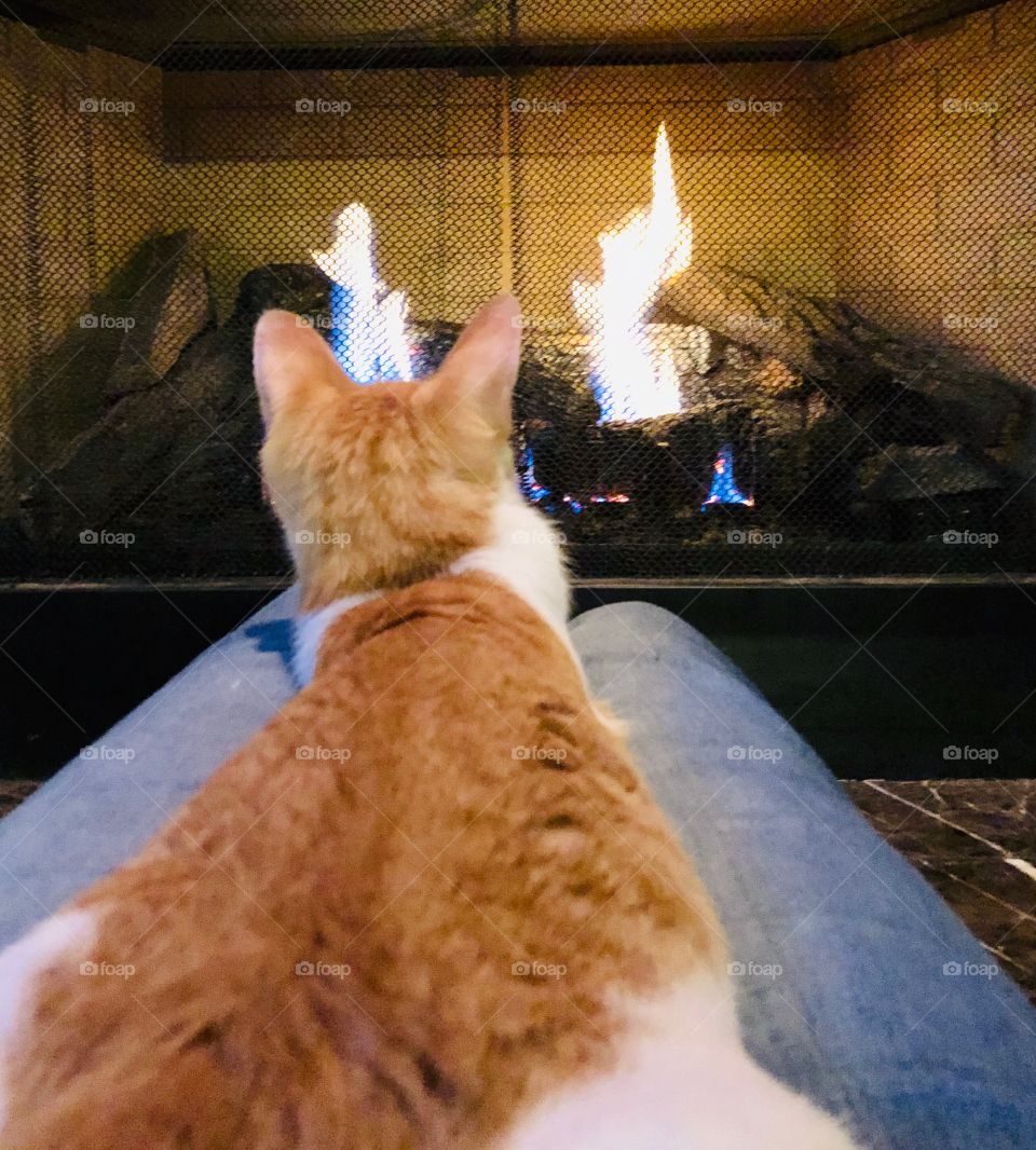 Warming by the fire