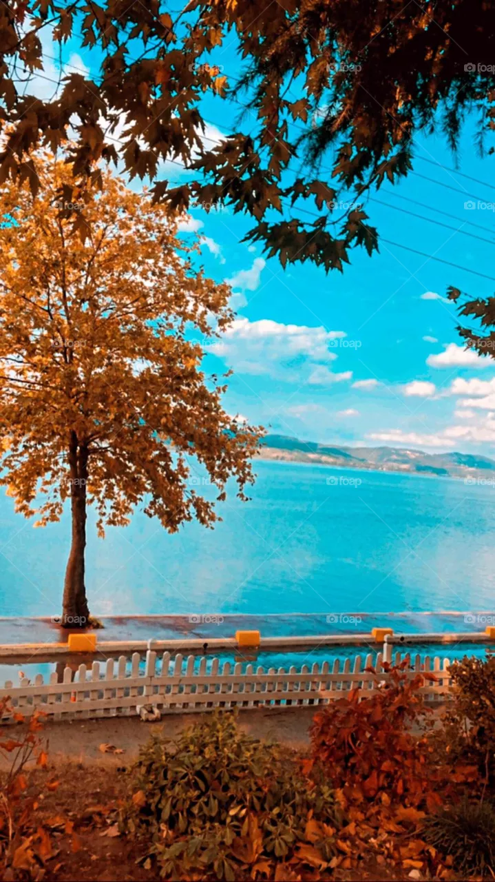 Sapanca