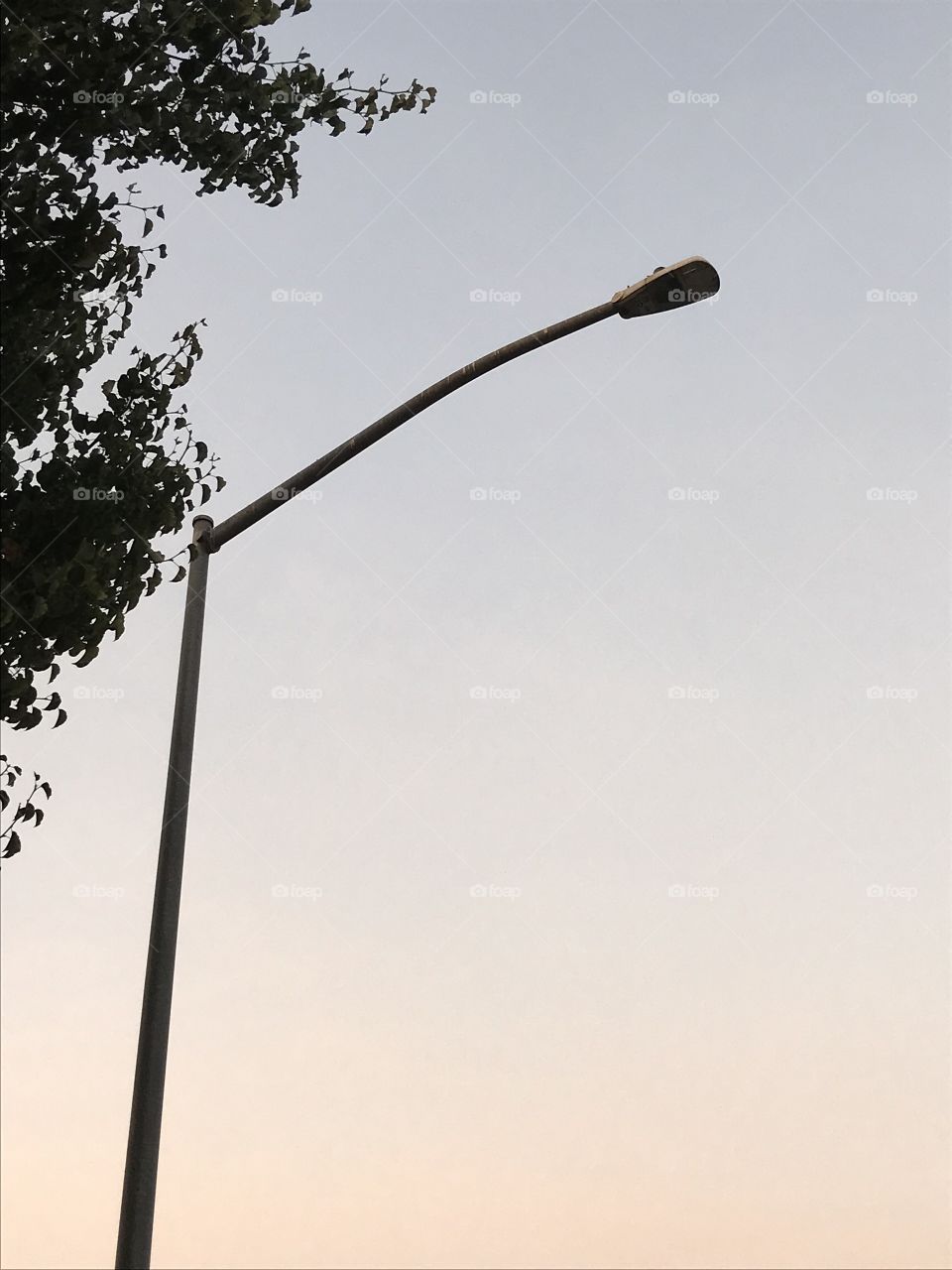 A lamp post in the neighborhood.