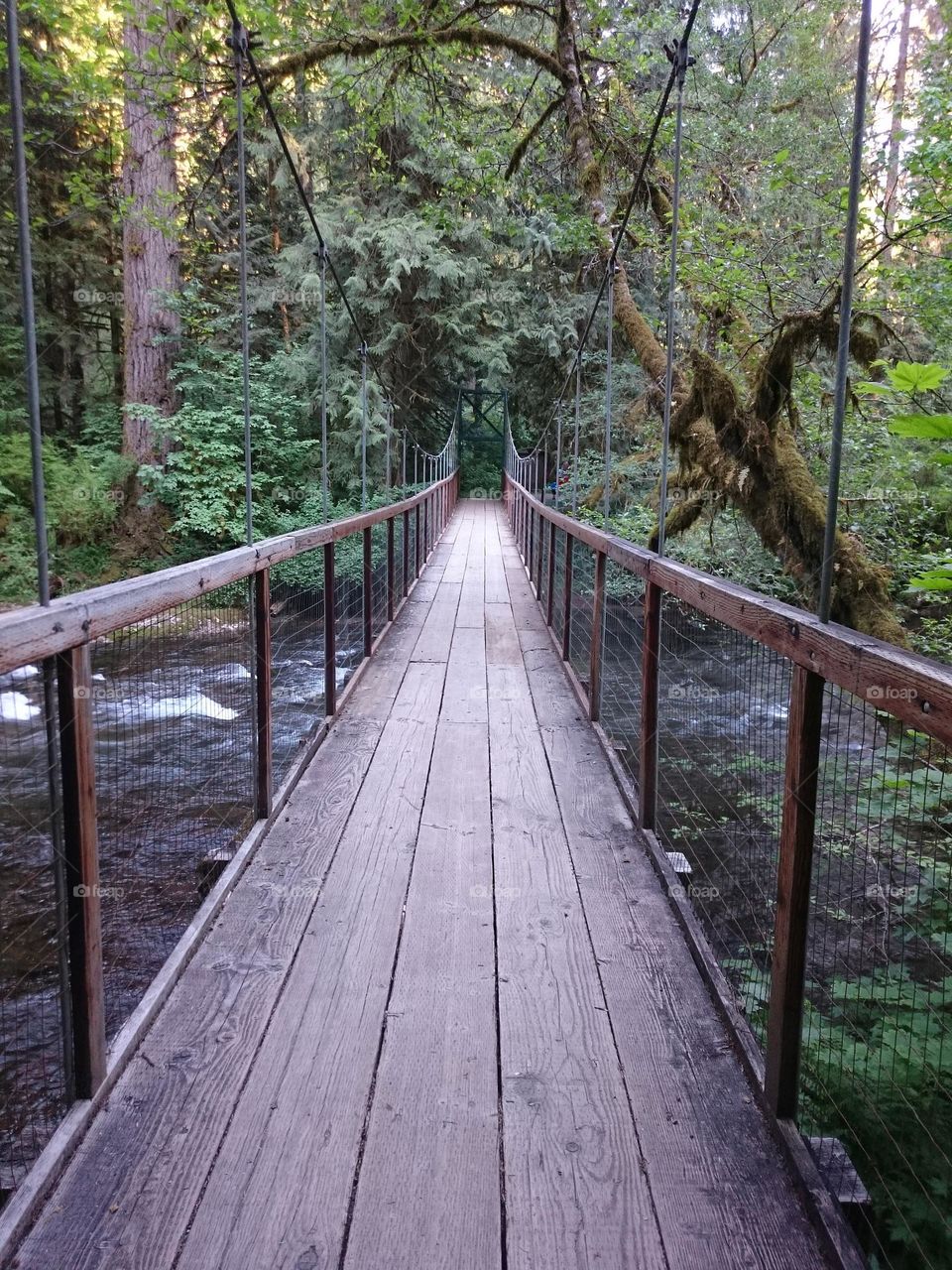 suspension bridge