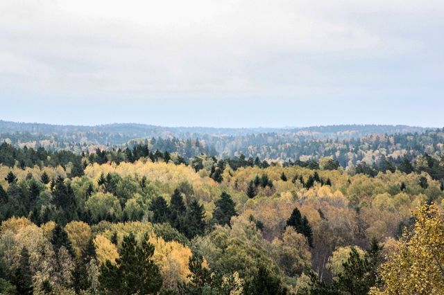 Autumn horizon
