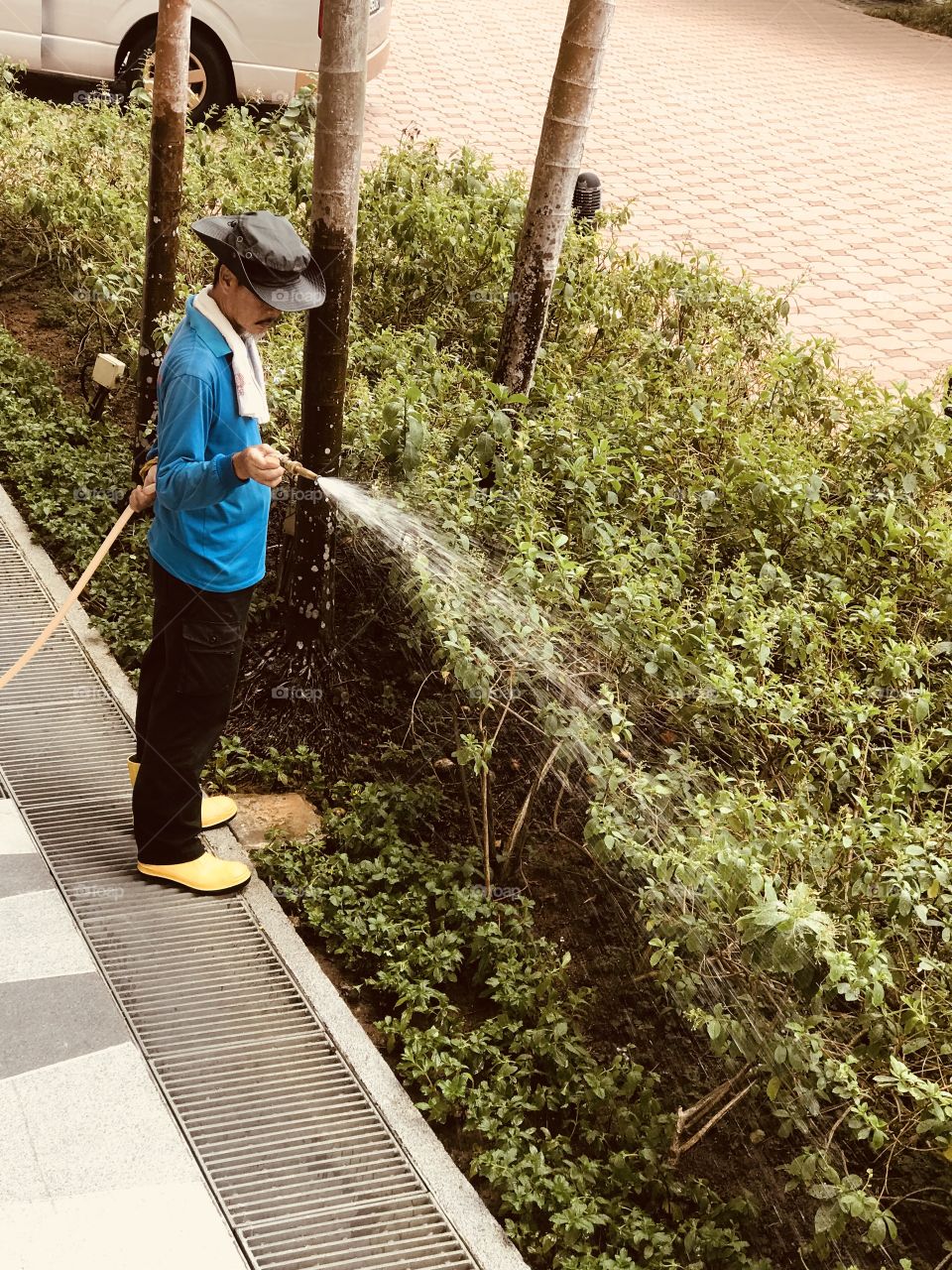 Man in watering plants