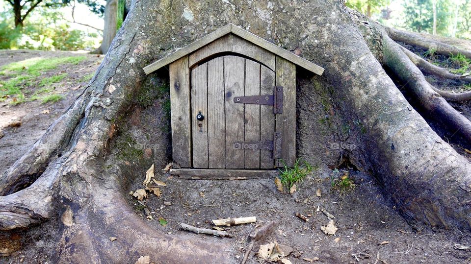 The dwarf house in the big old tree at the magic forest