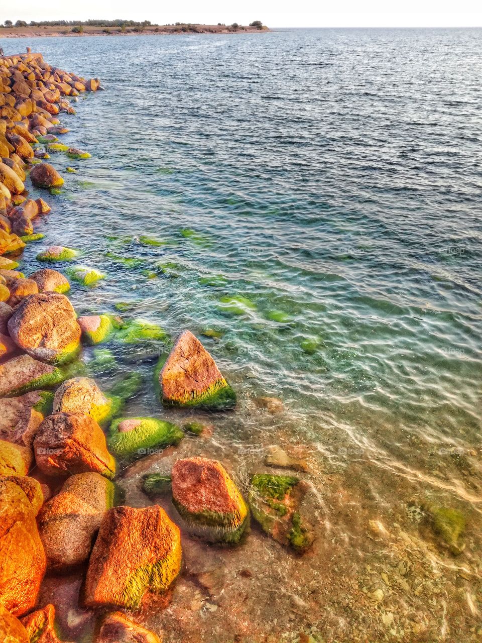 rocks shore in Sweden's Öland