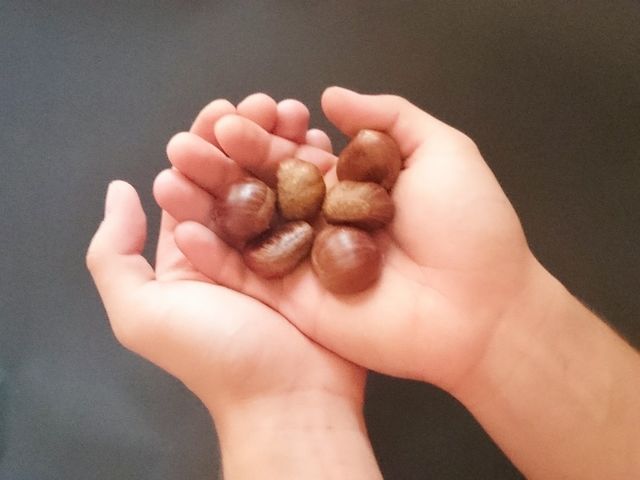 chestnuts