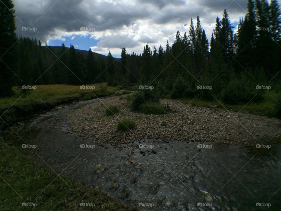 Mountain stream 