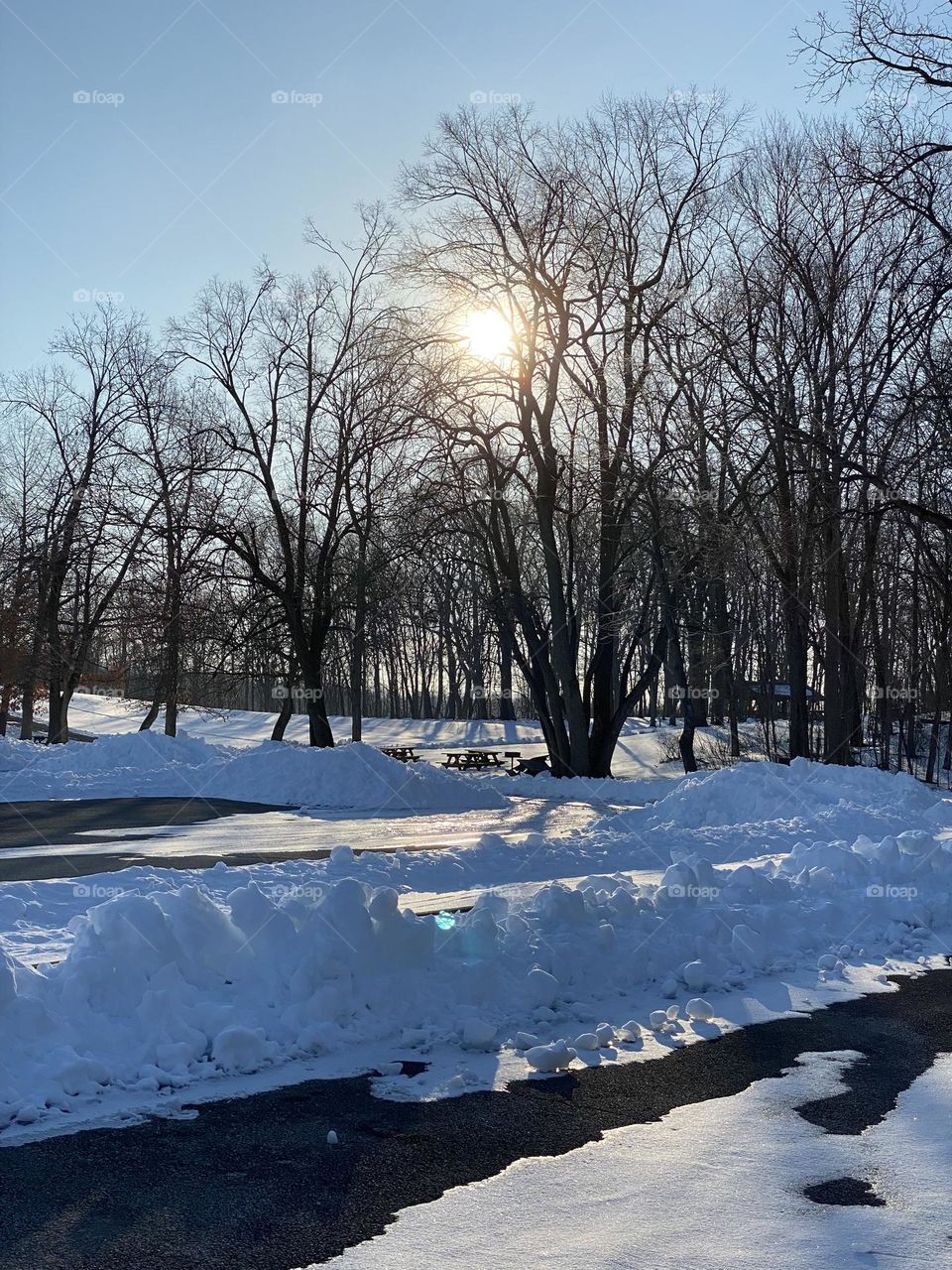 Majestic Winter. Sun perking through. 💖