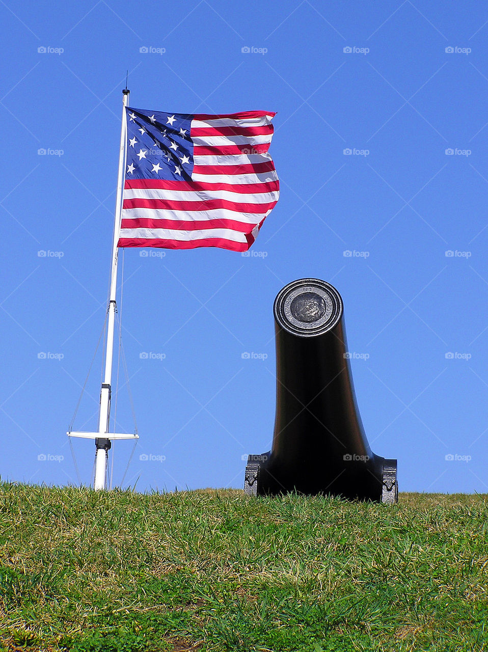 Cannon and American Flag