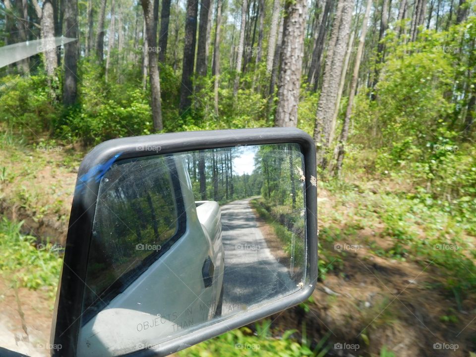 Backwoods road and side mirror