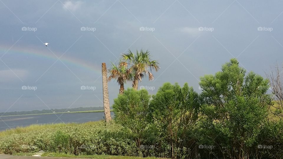 Rainbow River