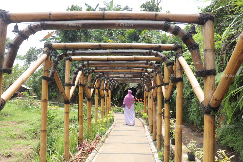 walking in the tunnel bamboo fence