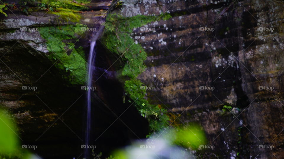 Moss, Waterfall, Wood, Water, Nature