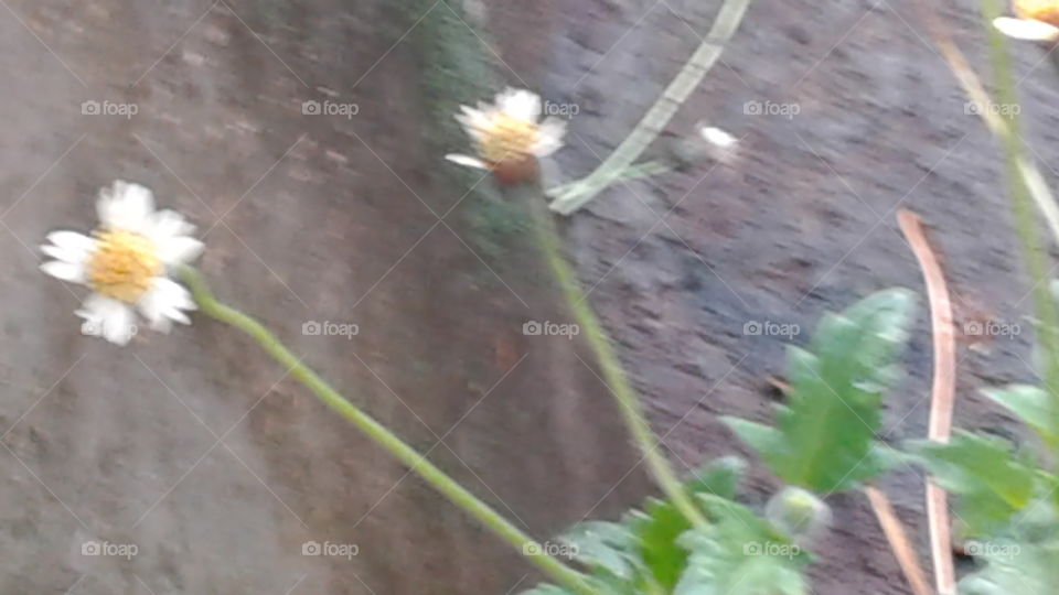 Nature create beauty