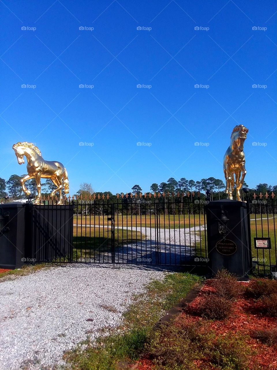 the golden horse Freeport area county town Florida road
