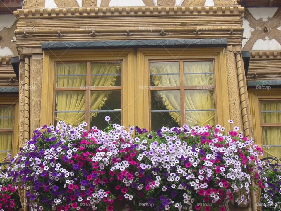 German Window Box