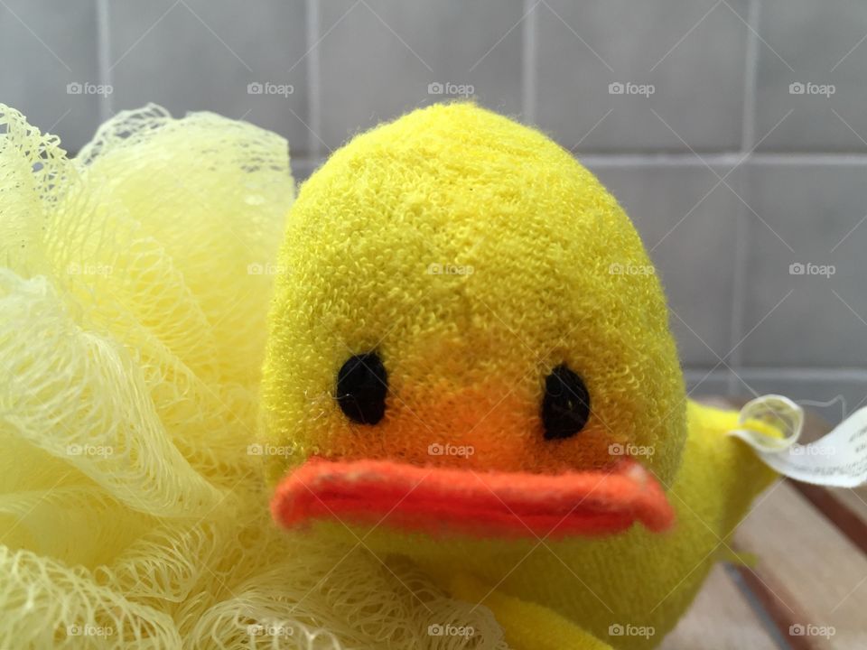 My duck