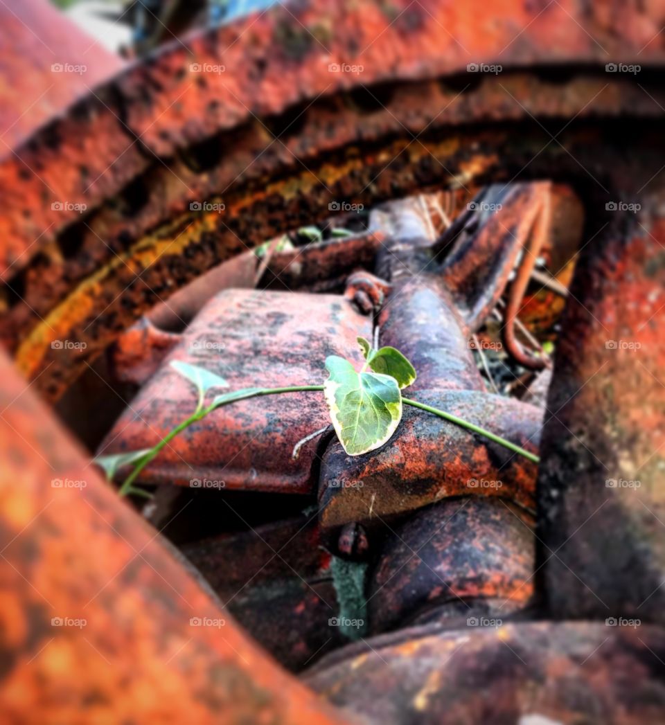 Life will exist anywhere you allow it 